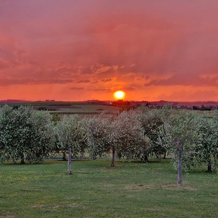 Podere Molinaccio Panicale Bagian luar foto