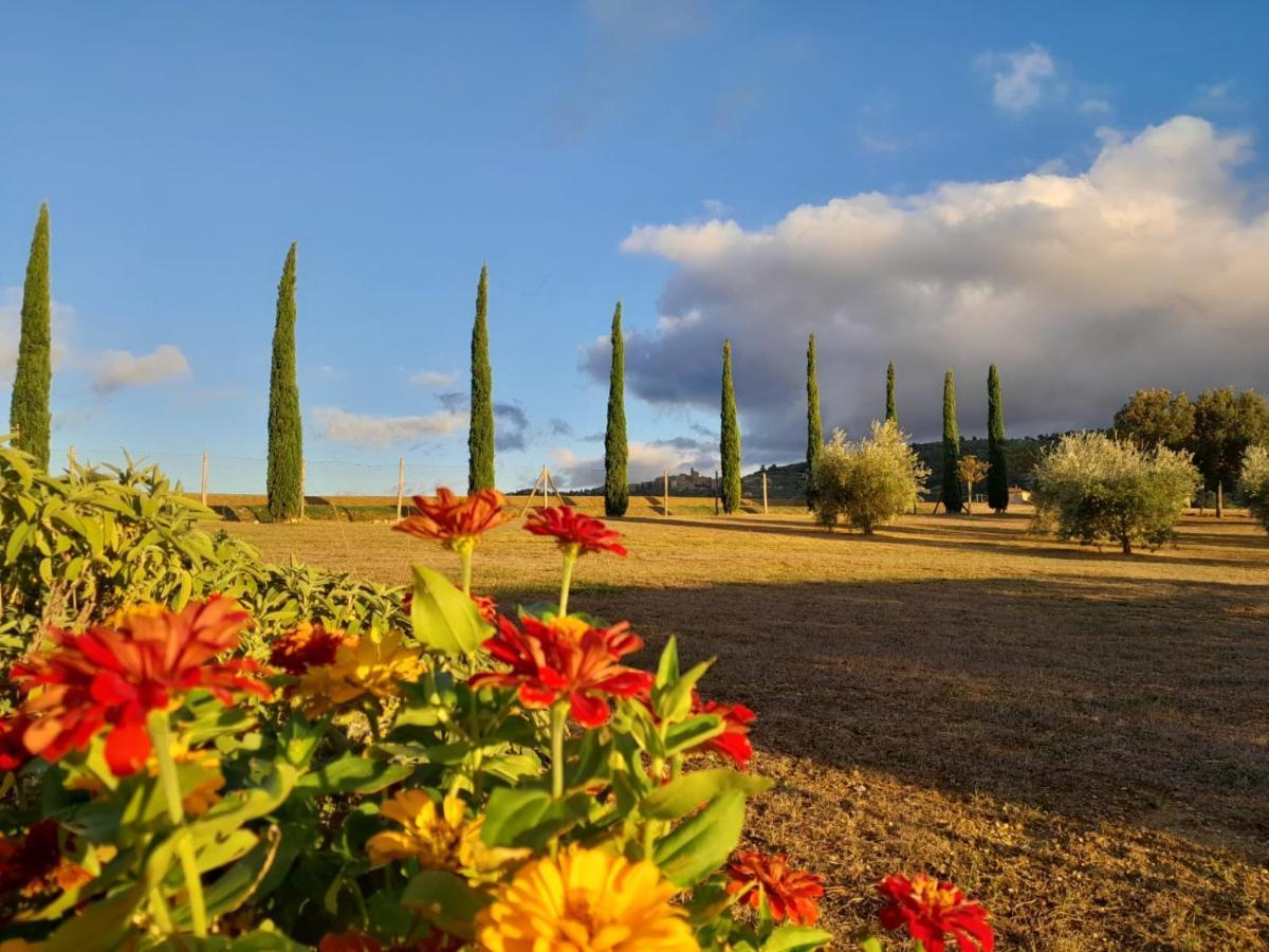 Podere Molinaccio Panicale Bagian luar foto