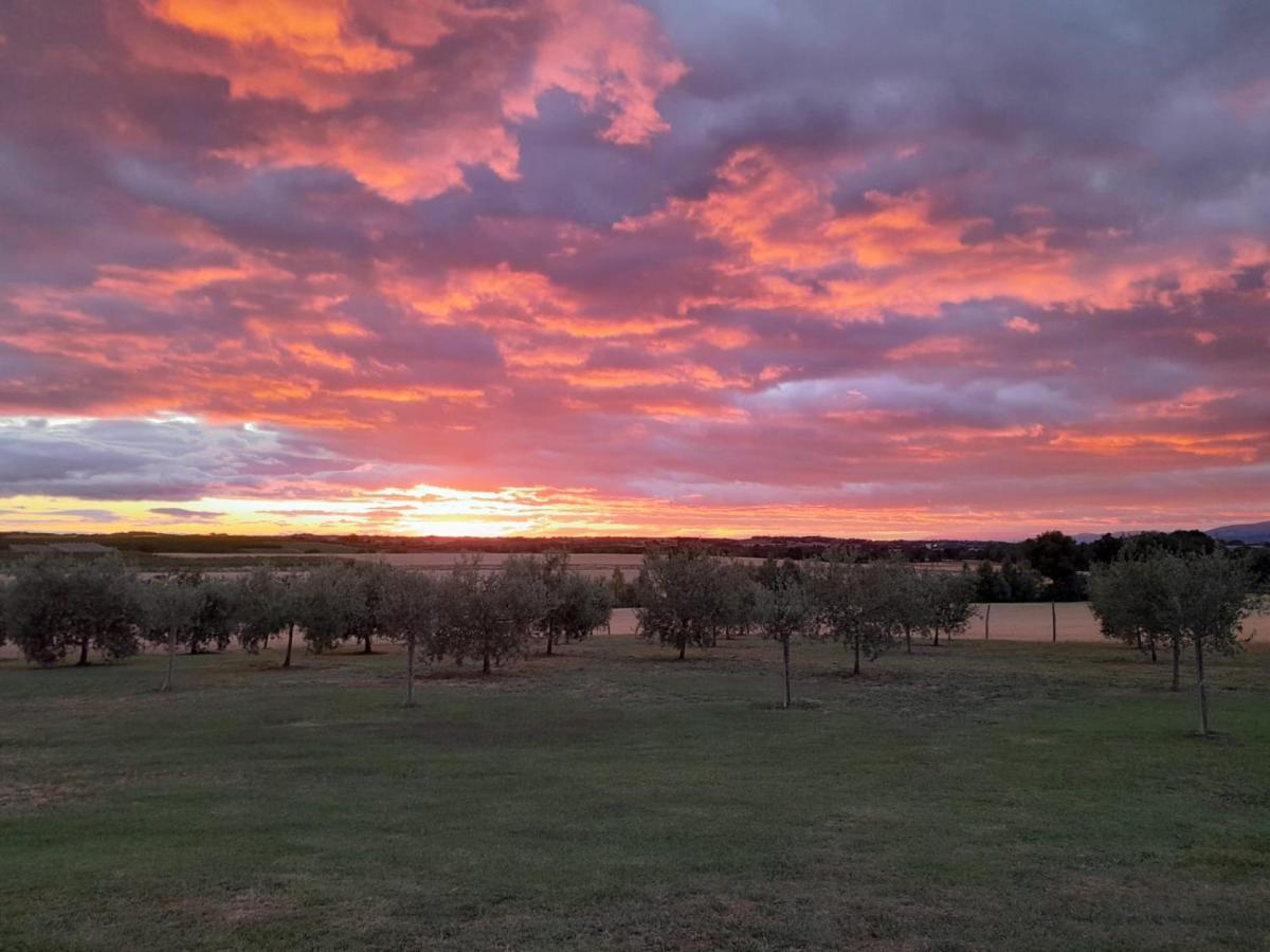 Podere Molinaccio Panicale Bagian luar foto