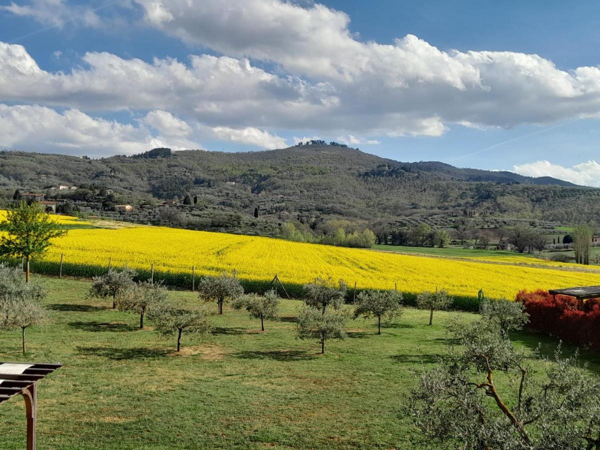 Podere Molinaccio Panicale Bagian luar foto
