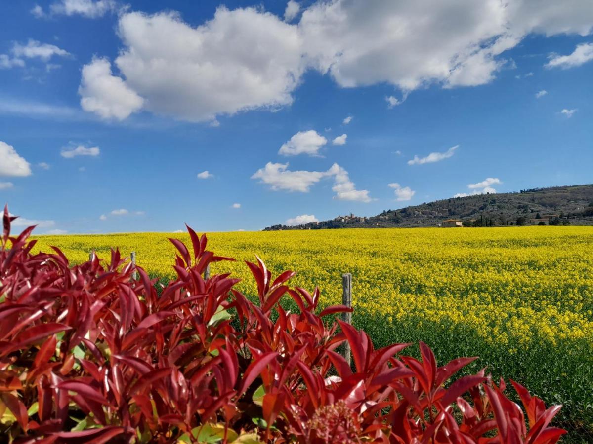 Podere Molinaccio Panicale Bagian luar foto
