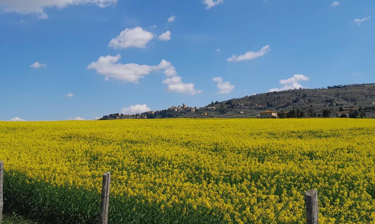 Podere Molinaccio Panicale Bagian luar foto