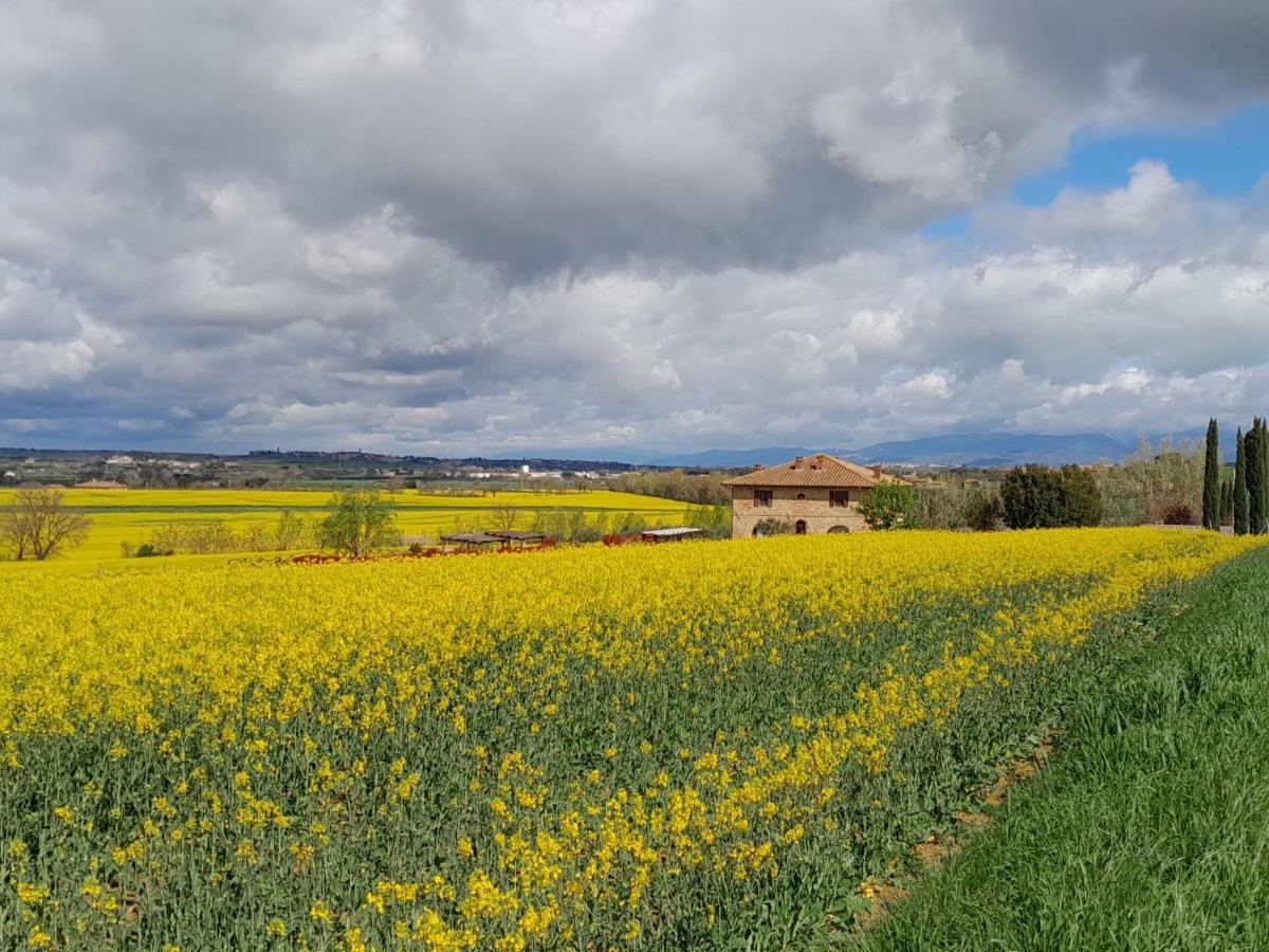 Podere Molinaccio Panicale Bagian luar foto