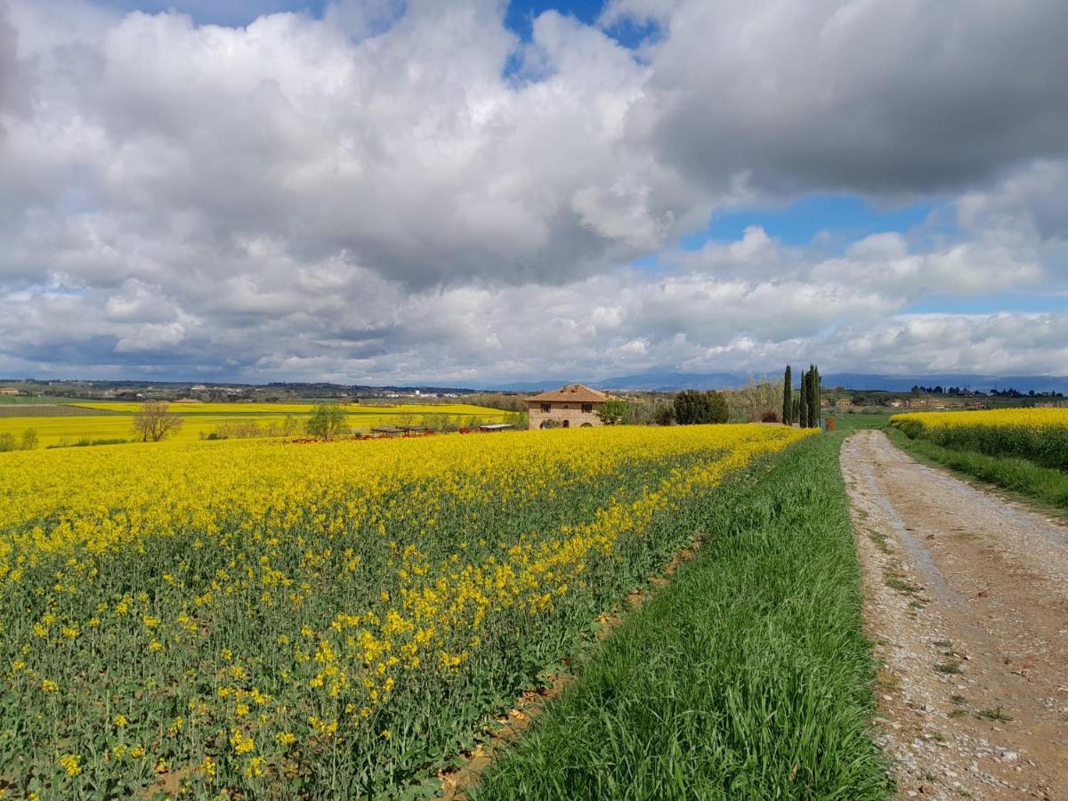 Podere Molinaccio Panicale Bagian luar foto