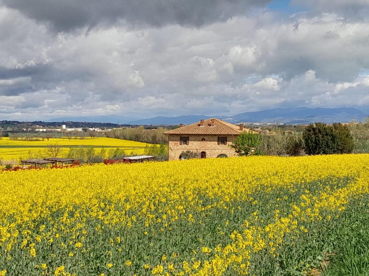 Podere Molinaccio Panicale Bagian luar foto