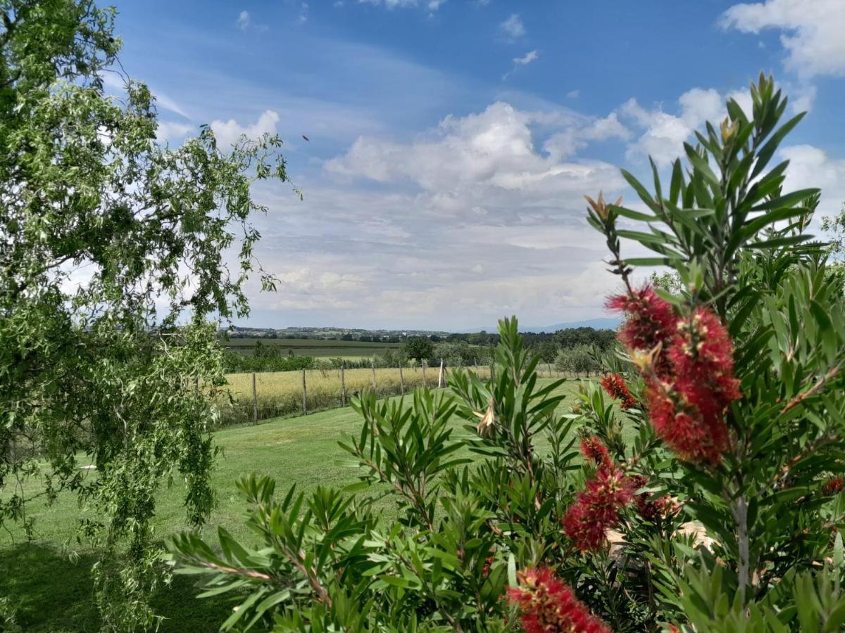 Podere Molinaccio Panicale Bagian luar foto