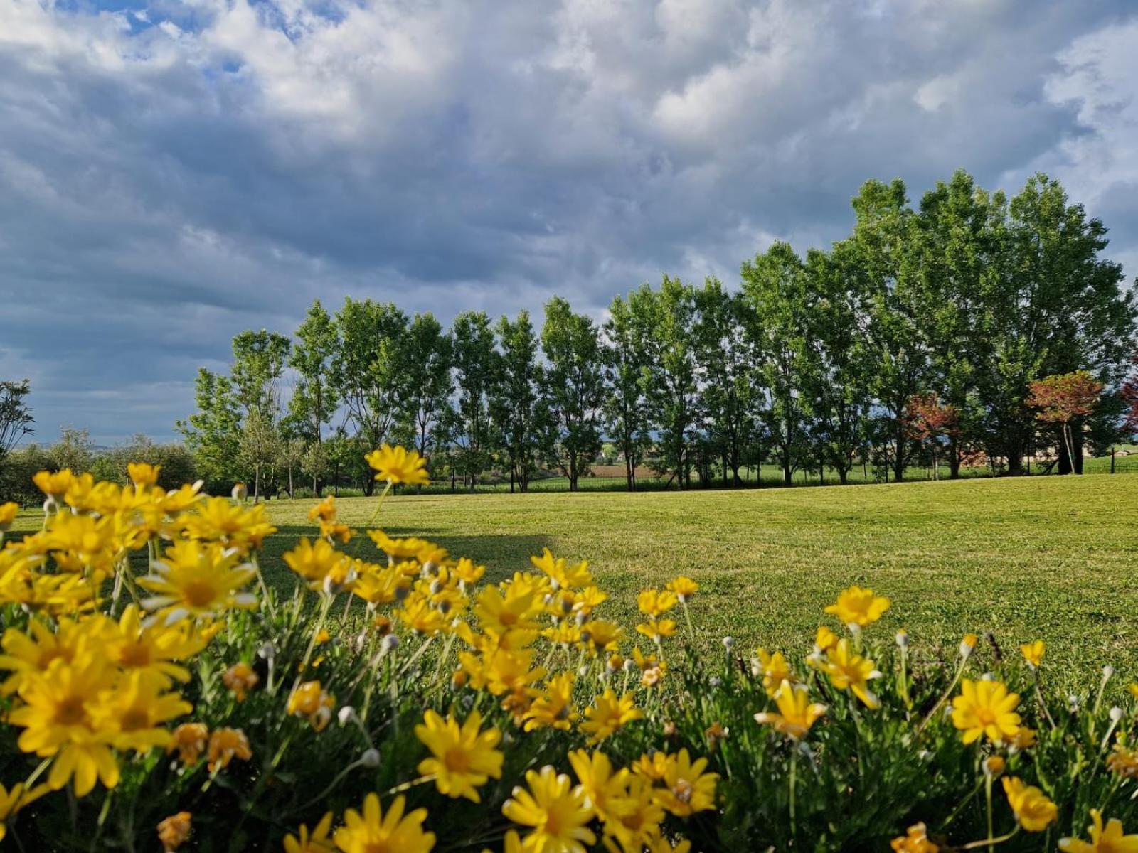 Podere Molinaccio Panicale Bagian luar foto