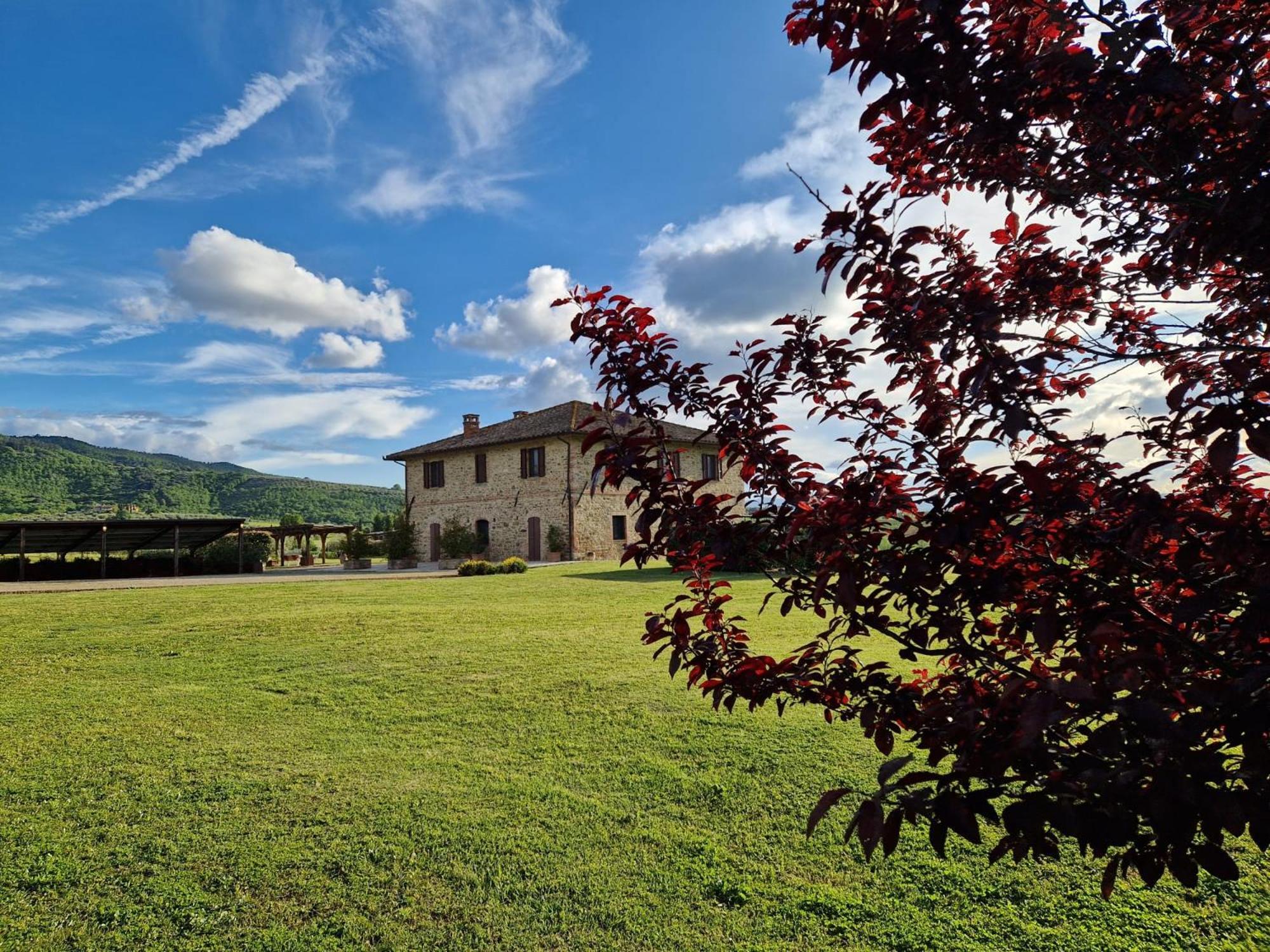 Podere Molinaccio Panicale Bagian luar foto