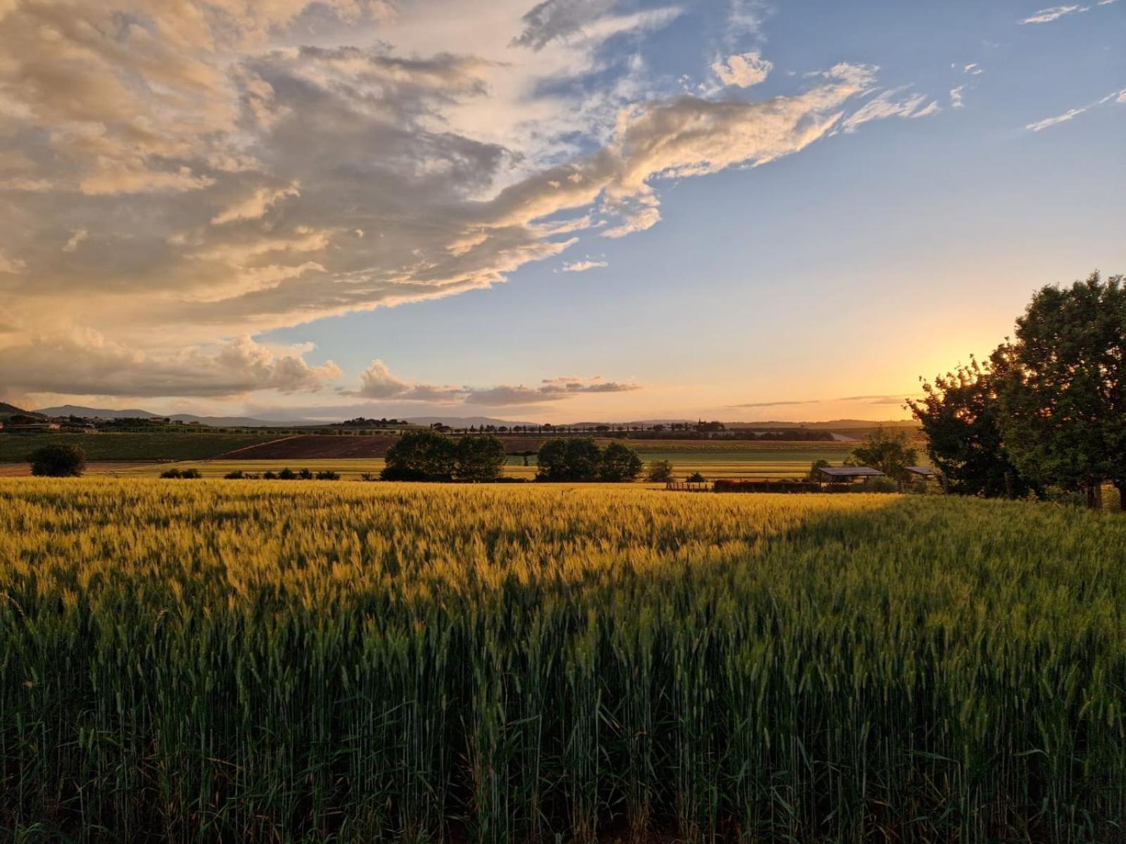 Podere Molinaccio Panicale Ruang foto