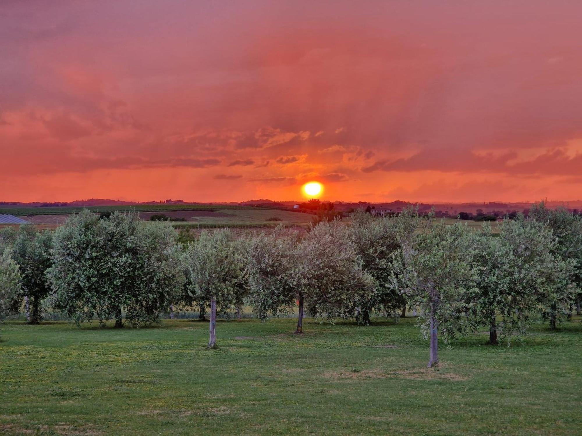 Podere Molinaccio Panicale Bagian luar foto