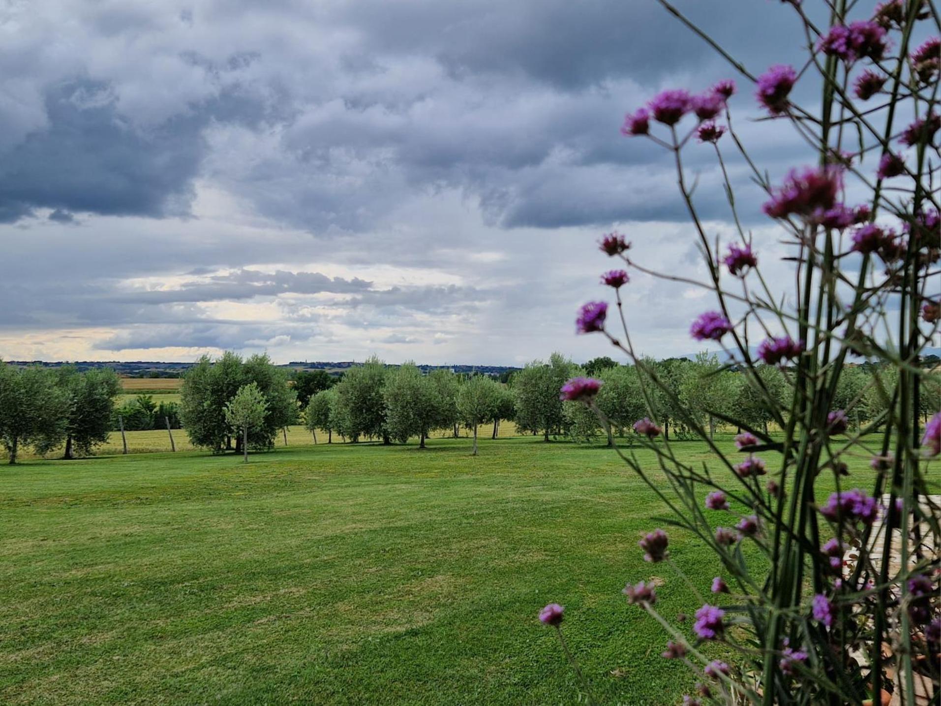 Podere Molinaccio Panicale Bagian luar foto