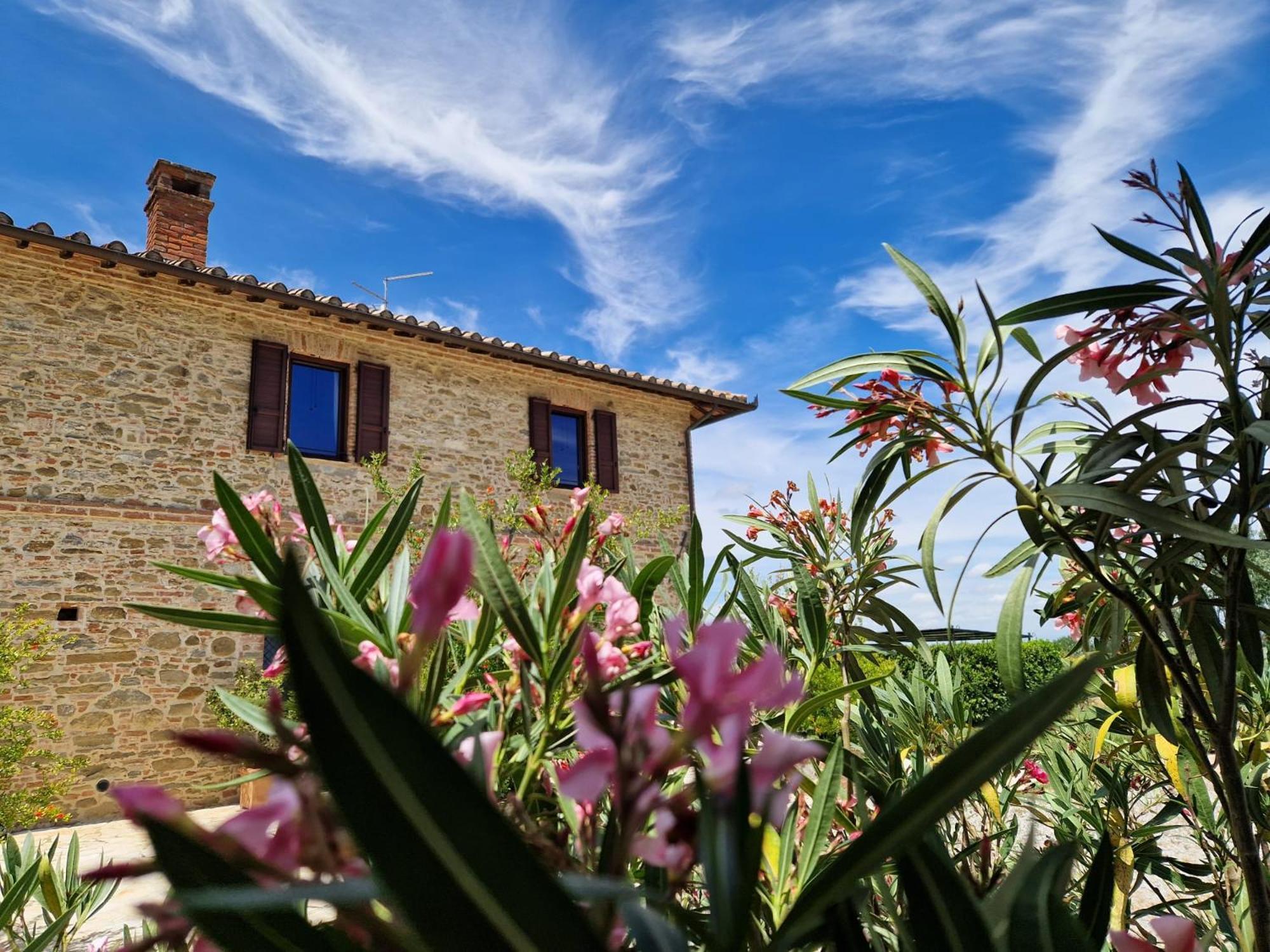Podere Molinaccio Panicale Bagian luar foto